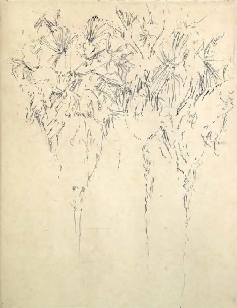 Etching Paul P - Tres palmeres