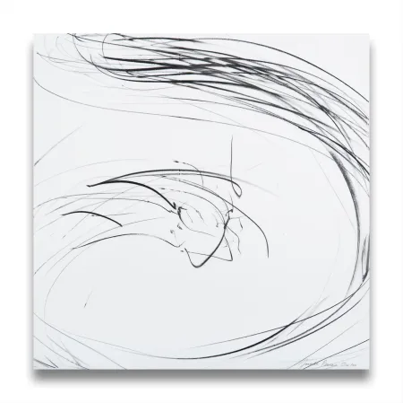 No Technical Peerna - Small maelstrom (Ref 855) 