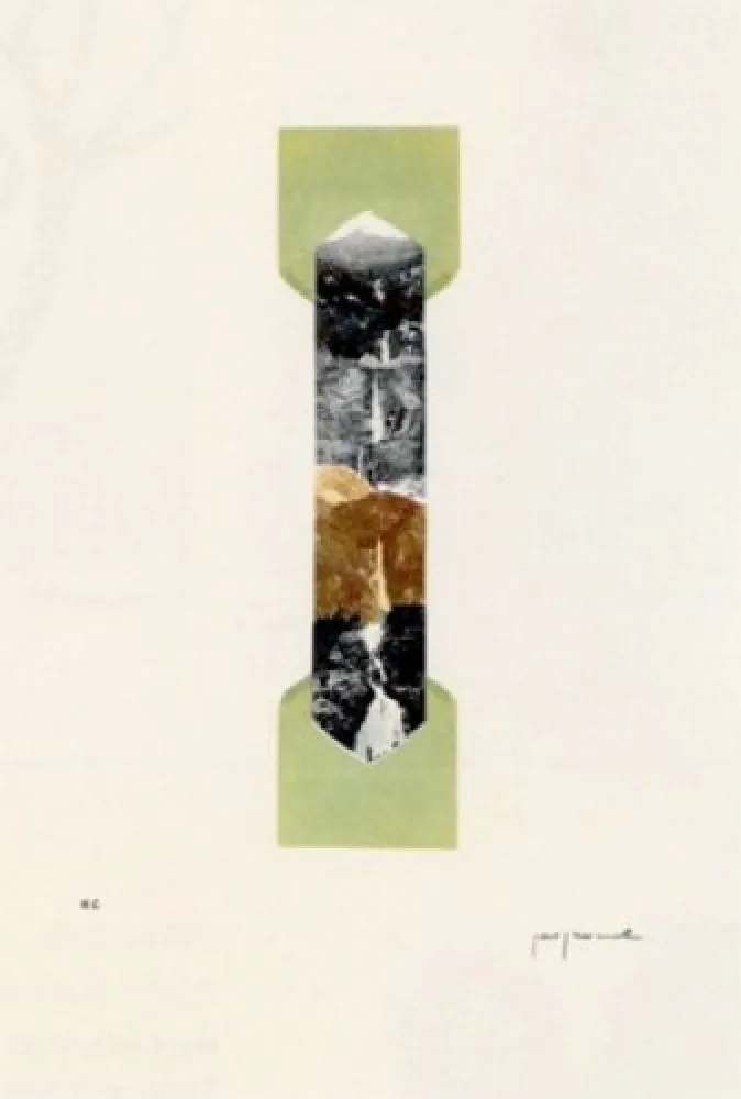 Lithograph Perejaume - El bosc a casa-4
