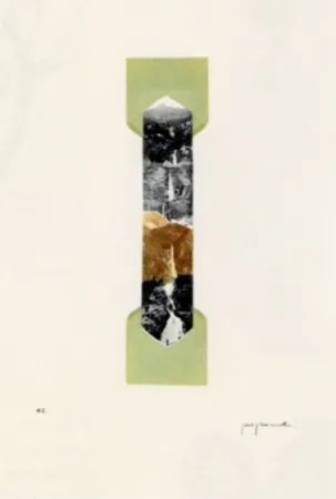 Lithograph Perejaume - El bosc a casa-4