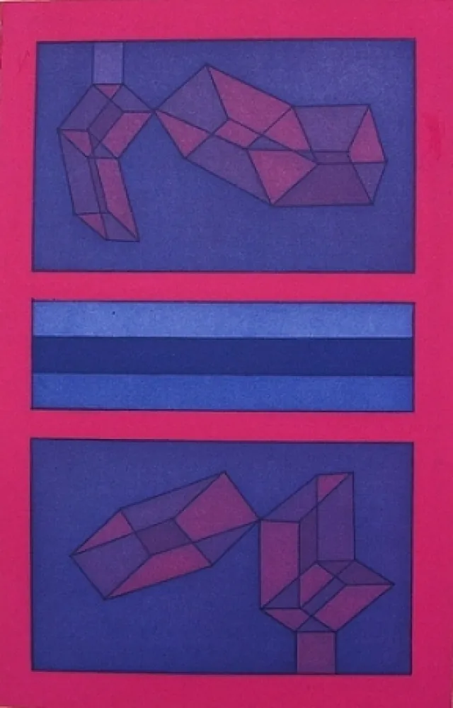 Etching And Aquatint Perilli - Alpenrosum