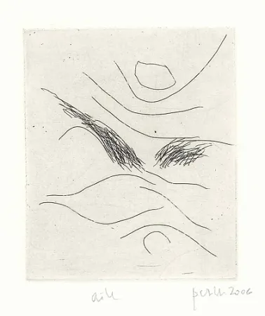 Illustrated Book Perilli - Dal diario di Max