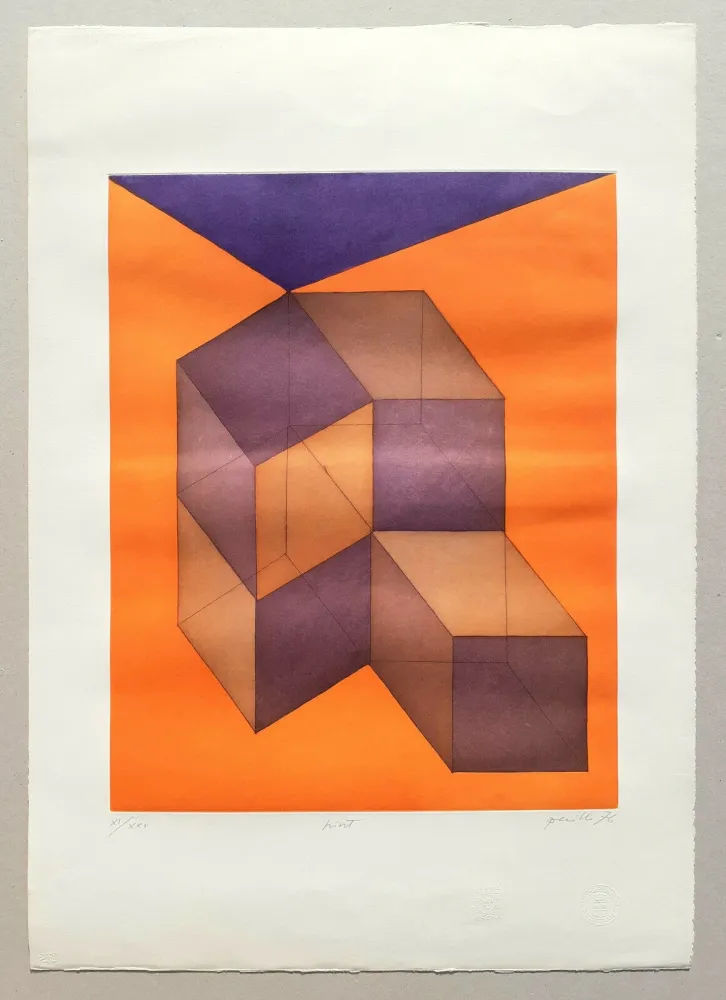 Aquatint Perilli - Hint