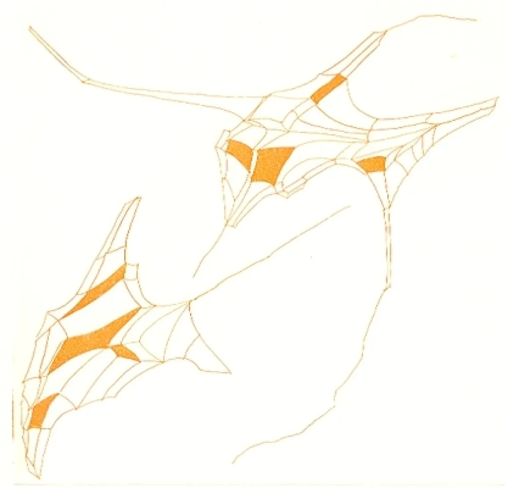 Illustrated Book Perilli - Phrases