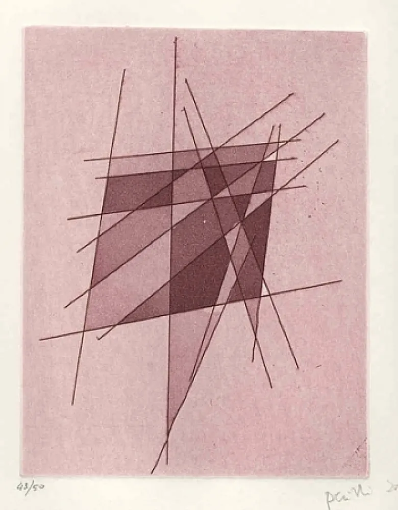 Illustrated Book Perilli - Sylvatica