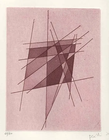 Illustrated Book Perilli - Sylvatica