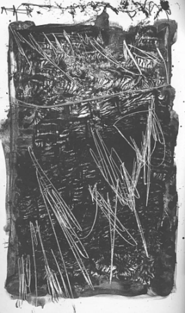 Illustrated Book Perilli - Theatrum Sanitatis