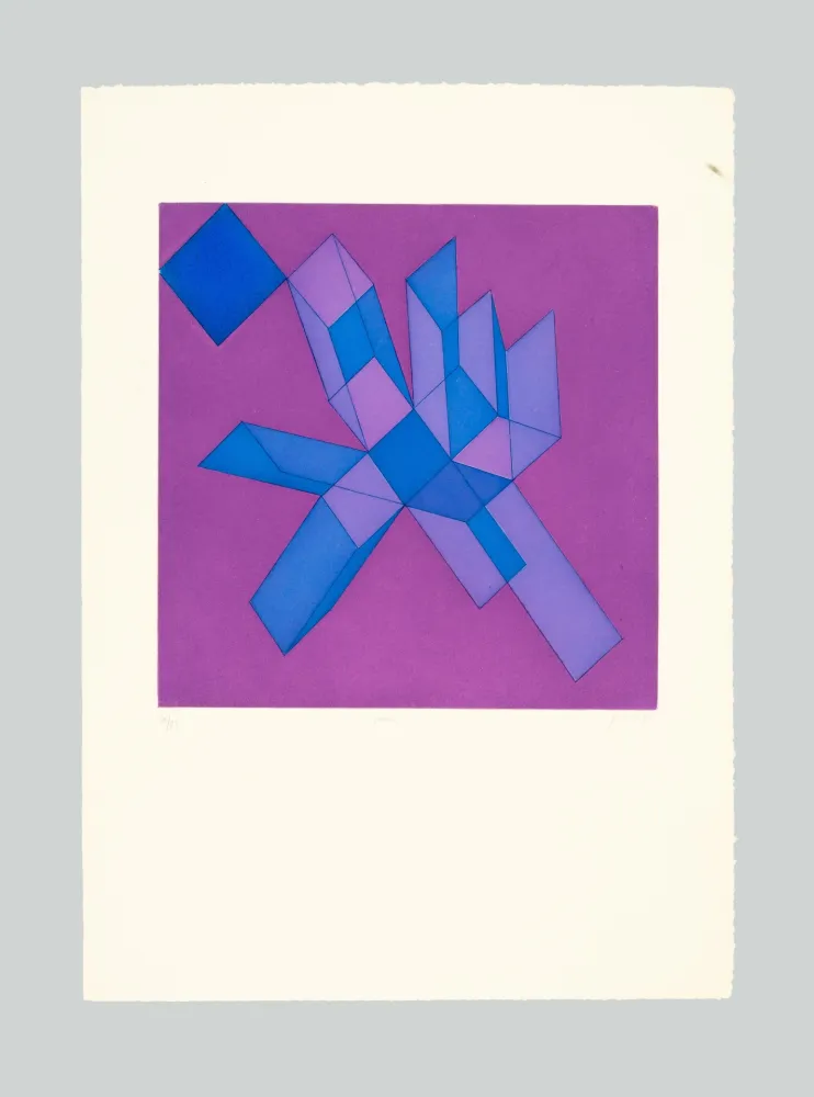 Etching And Aquatint Perilli - Viodra