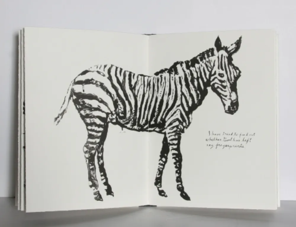 Illustrated Book Pettibon - Plots on Loan