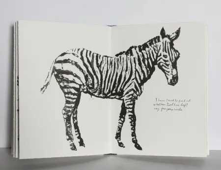 Illustrated Book Pettibon - Plots on Loan