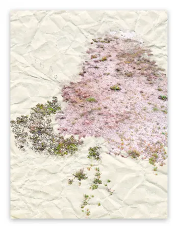 Photography Pezzot - I. Anthropological Purity