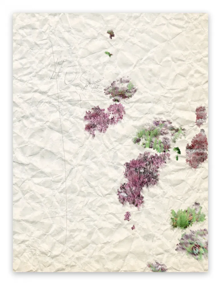 Photography Pezzot - II. Marvellous Unconsciousness