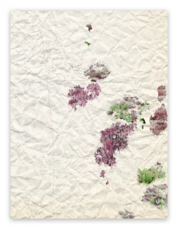 Photography Pezzot - II. Marvellous Unconsciousness