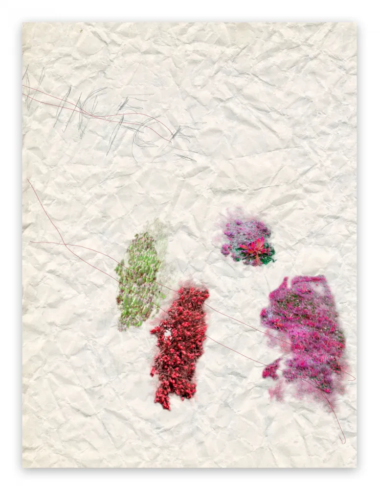 Photography Pezzot - IV. Nice