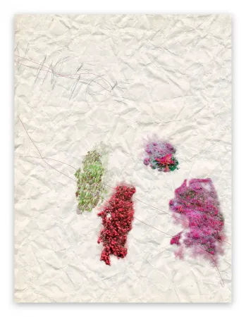 Photography Pezzot - IV. Nice