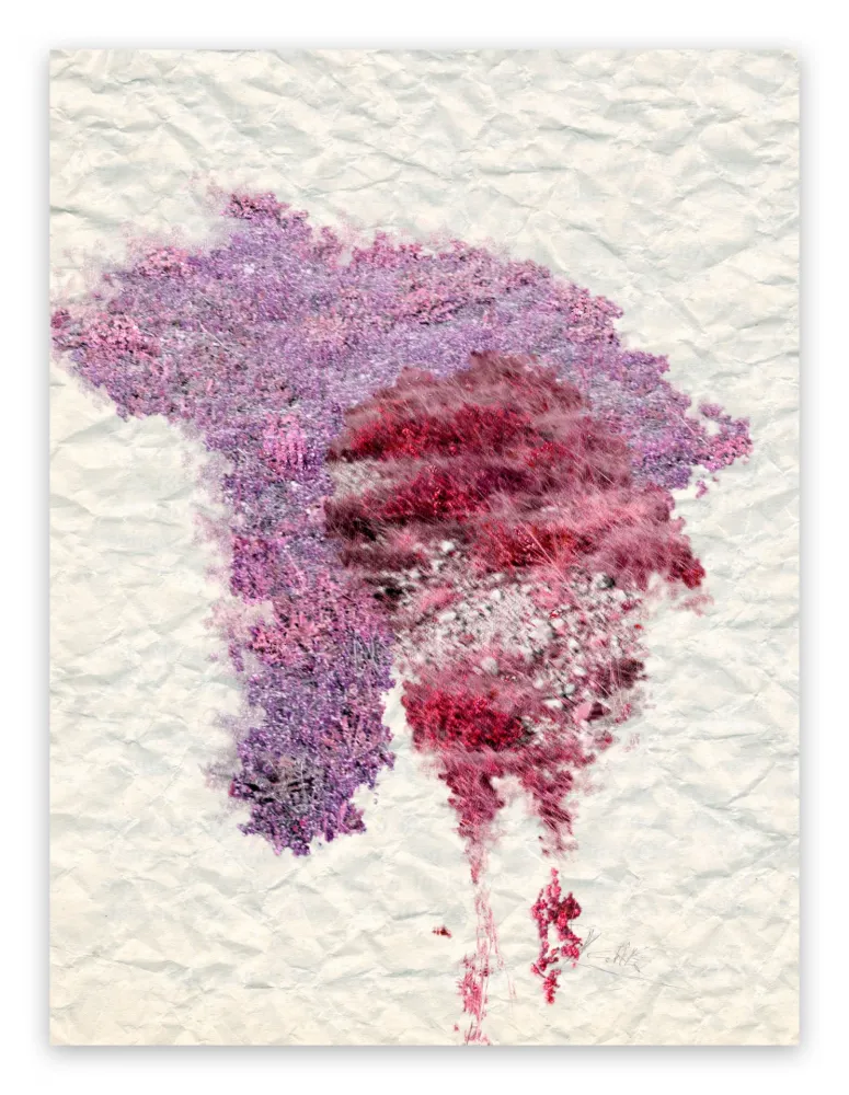 Photography Pezzot - IX: Genesi