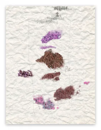 Photography Pezzot - V. Dogmatic Thinking