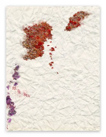 Photography Pezzot - VII: Istinto Primordiale