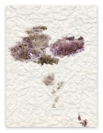 Photography Pezzot - VIII: The Unselfconsciousness Of Eros