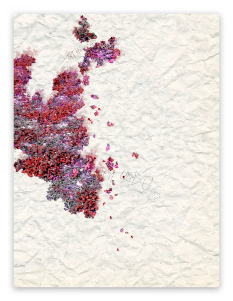 Photography Pezzot - X: Pleasant Dementia