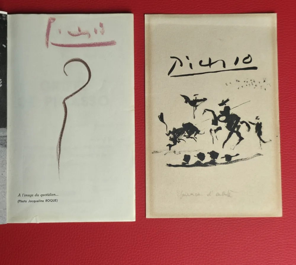 Illustrated Book Picasso - Griffes de Picasso 