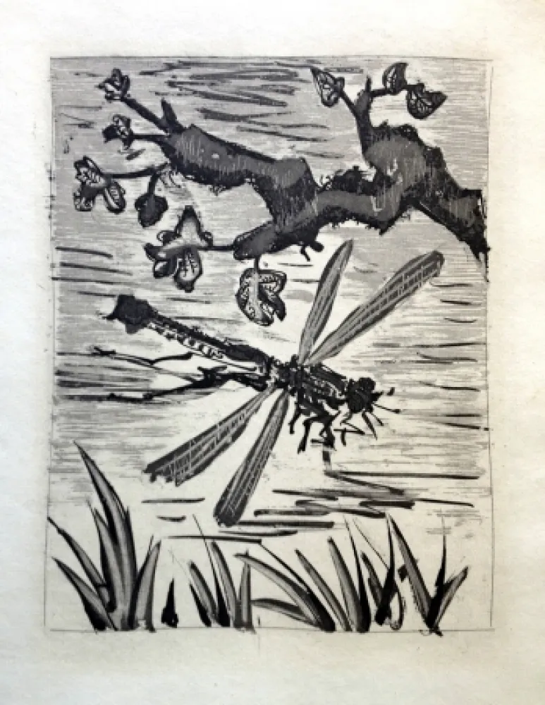 Etching And Aquatint Picasso - LA LIBELLULE