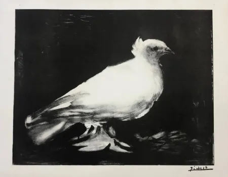 Lithograph Picasso - La petite Colombe