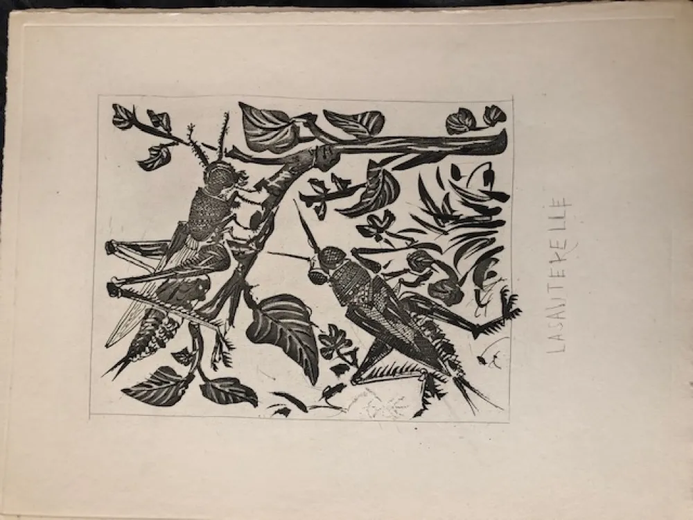 Aquatint Picasso - La sauterelle