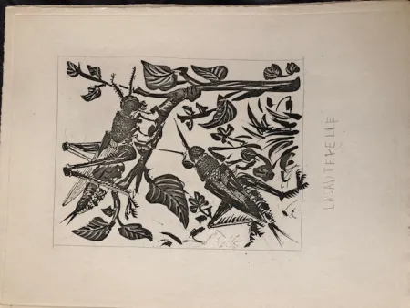 Aquatint Picasso - La sauterelle