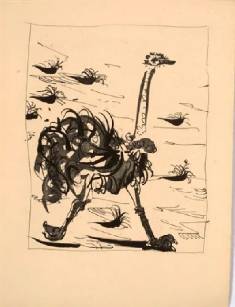 Aquatint Picasso - L'autruche