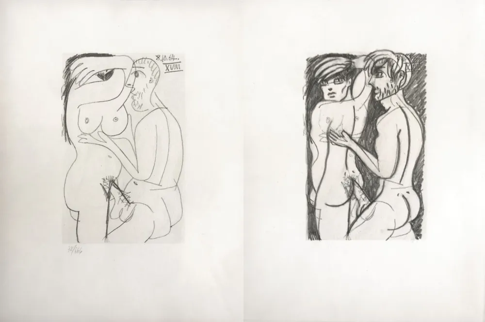 No Technical Picasso - Picasso and Me 