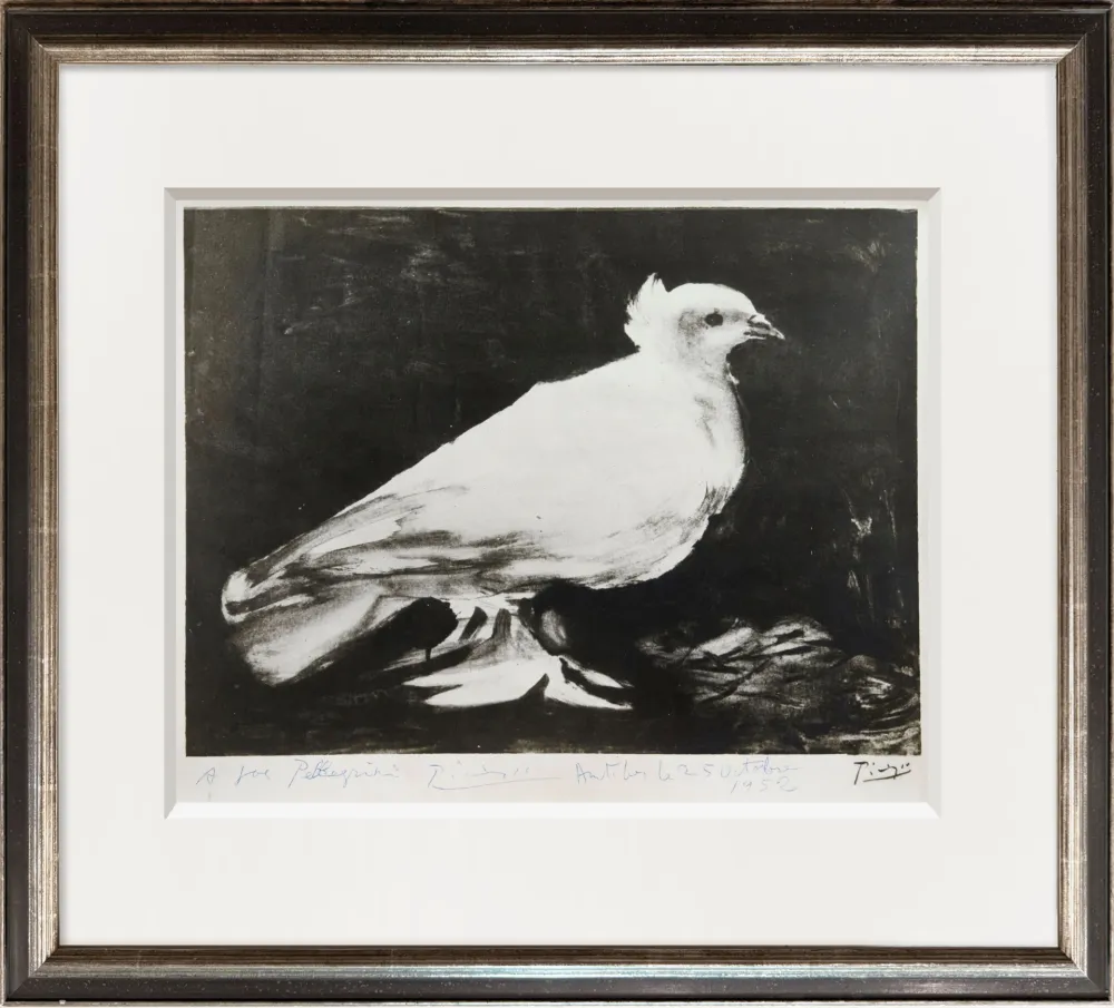 Photography Picasso - The Dove of Peace