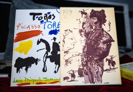 Illustrated Book Picasso - Toros y Toreros 1th Edition German