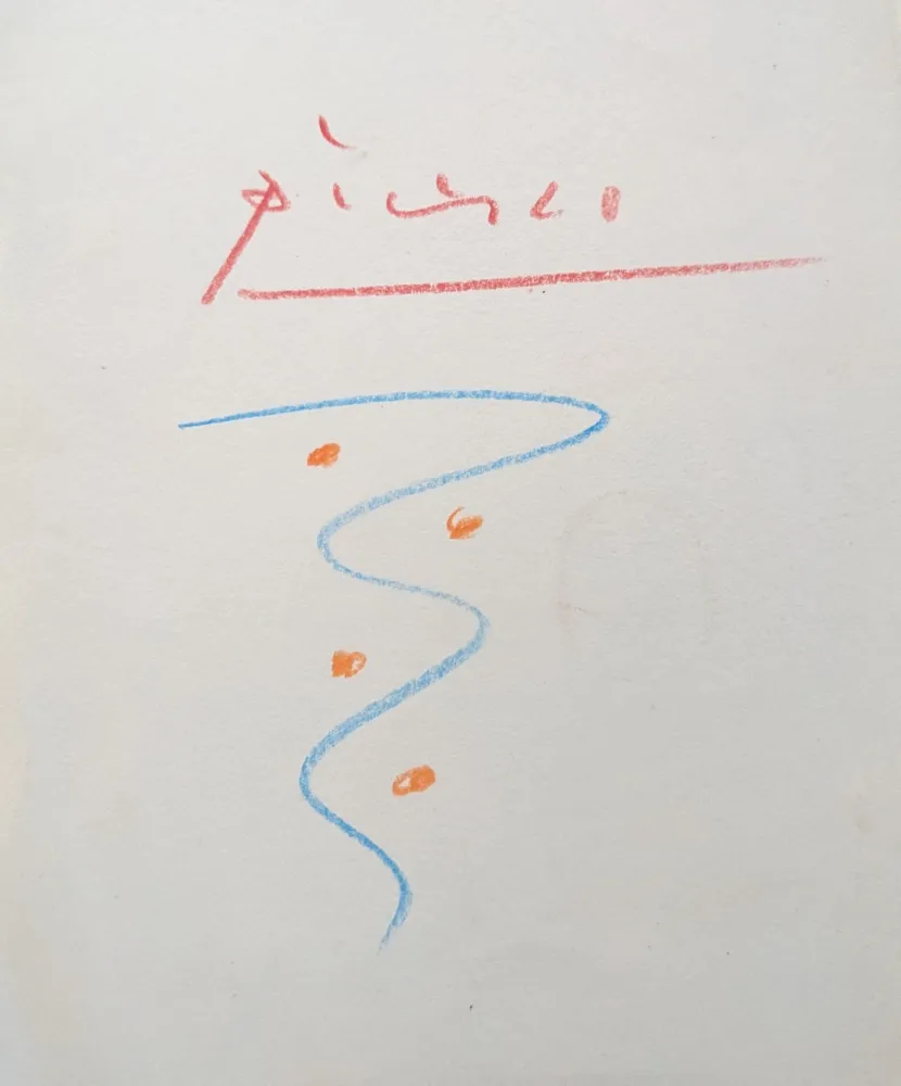 No Technical Picasso - Untitled