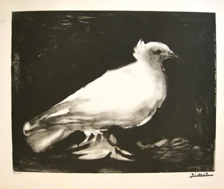Lithograph Picasso - XXème anniversaire, mouvement de la paix (before lettering)
