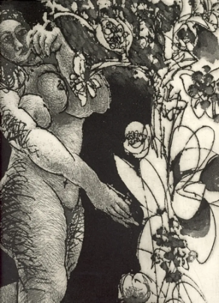 Illustrated Book Pignateli - Controra