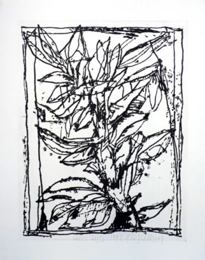 Aquatint Pincemin - Sans titre