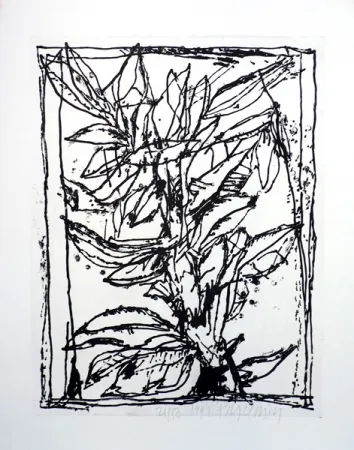 Aquatint Pincemin - Sans titre