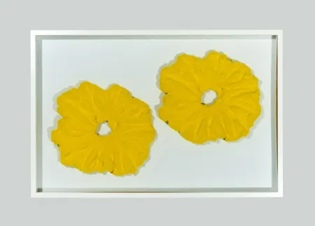 No Technical Pinelli - Pittura G.