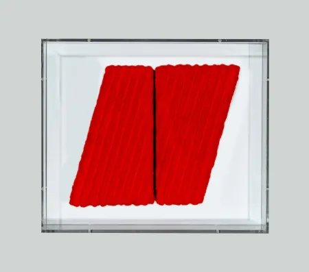 No Technical Pinelli - Pittura R.