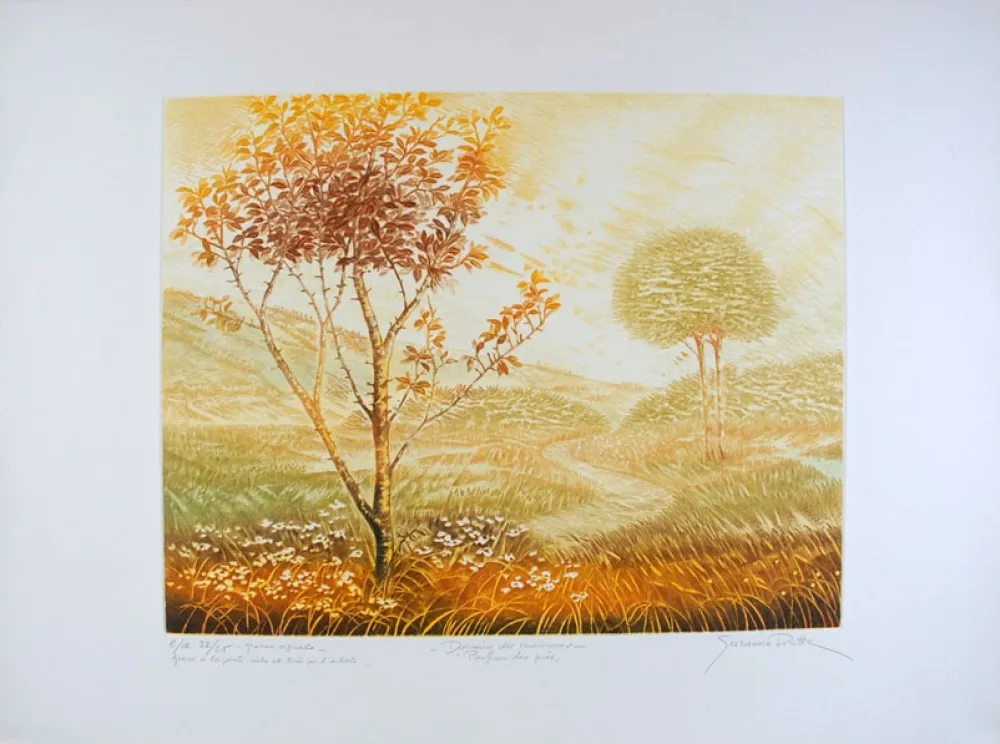 Drypoint Pirotte - Domaine des Murmures - Parfum des près