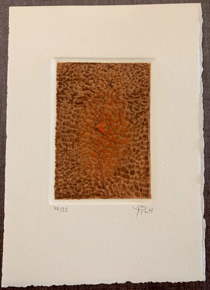 Etching And Aquatint Piza - Terre brulée
