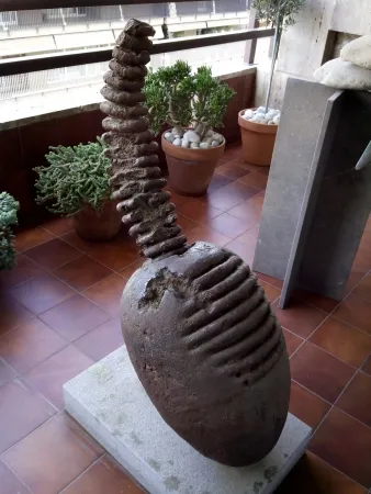 No Technical Plensa - Cap - Teté