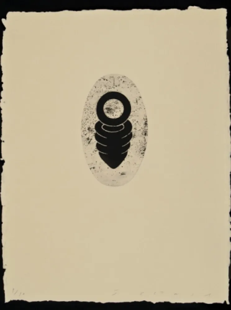 Etching And Aquatint Plensa - Suite Li