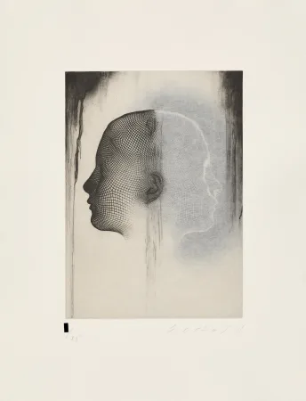 No Technical Plensa - Untitled