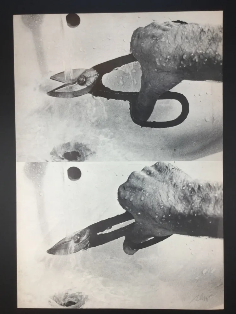 Lithograph Plessi - Naufragio 