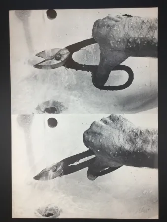 Lithograph Plessi - Naufragio 