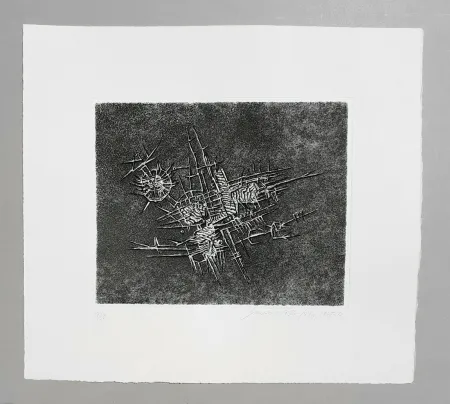 Etching And Aquatint Pomodoro - Situazione vegetale
