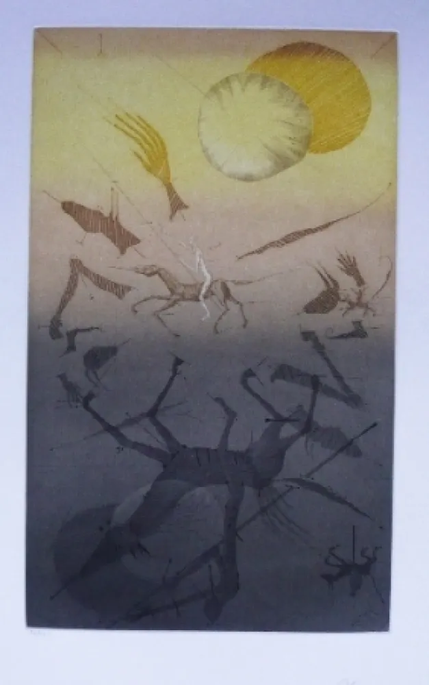 Etching And Aquatint Ponç - Quichotte 5
