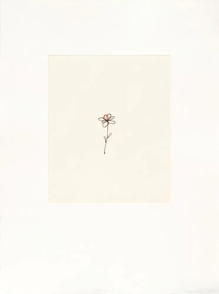 Etching Porter - Mod. 5